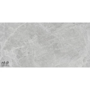 Керамогранит NT Ceramic Bright and Shiny Tundra Pearl mat Матовый NTT9118M 120х60 см