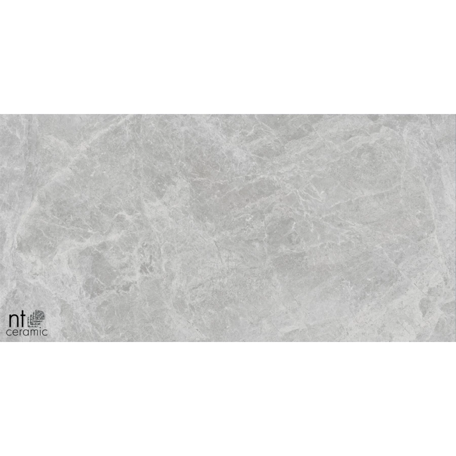 Керамогранит NT Ceramic Bright and Shiny Tundra Pearl mat Матовый NTT9118M 120х60 см