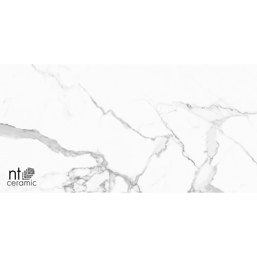 Керамогранит NT Ceramic Bright and Shiny Statuario Infinity Матовый NTT9125M 120х60 см