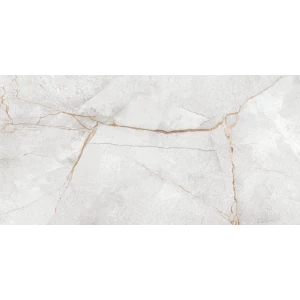 Керамогранит LCM Special Marmo Gray полированный серый 60120PEC15P 120х60 см