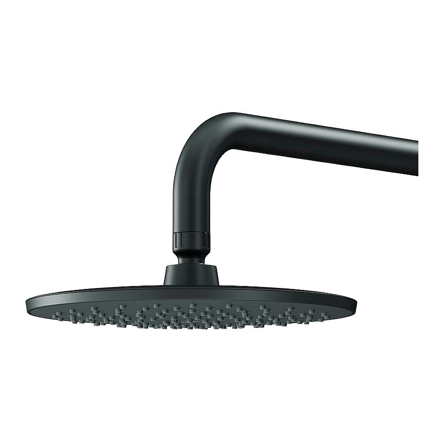 Тропический душ Am Pm Gem F0590022 220 мм