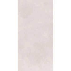 Керамогранит Global Tile Cassini матовый светло-серый GT1206017706MR 120х60 см