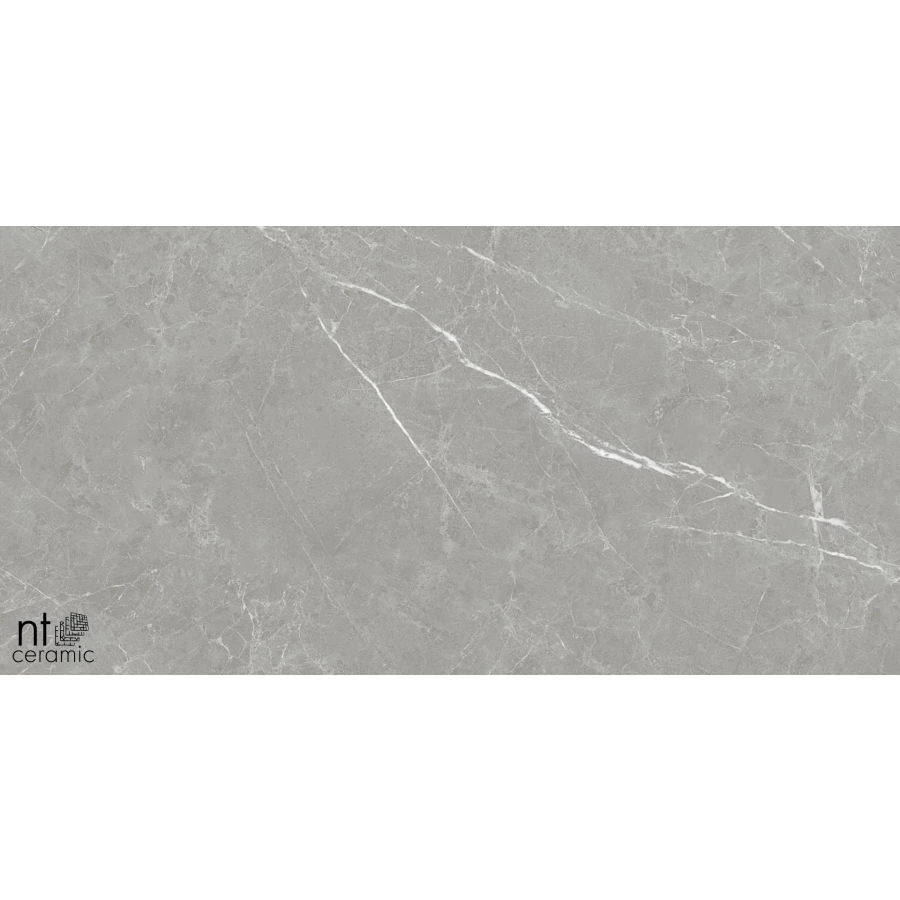 Керамогранит NT Ceramic Pietra NTT1102 Лаппатированный PT612NTT1102L 120х60 см