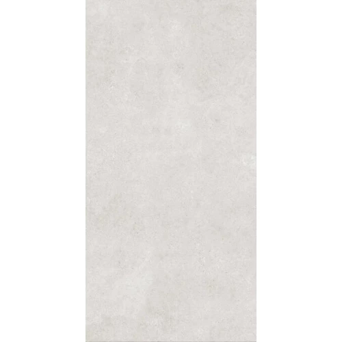 Керамогранит ProGRES Detroit матовый светло-серый PRO 0247M 120х60 см