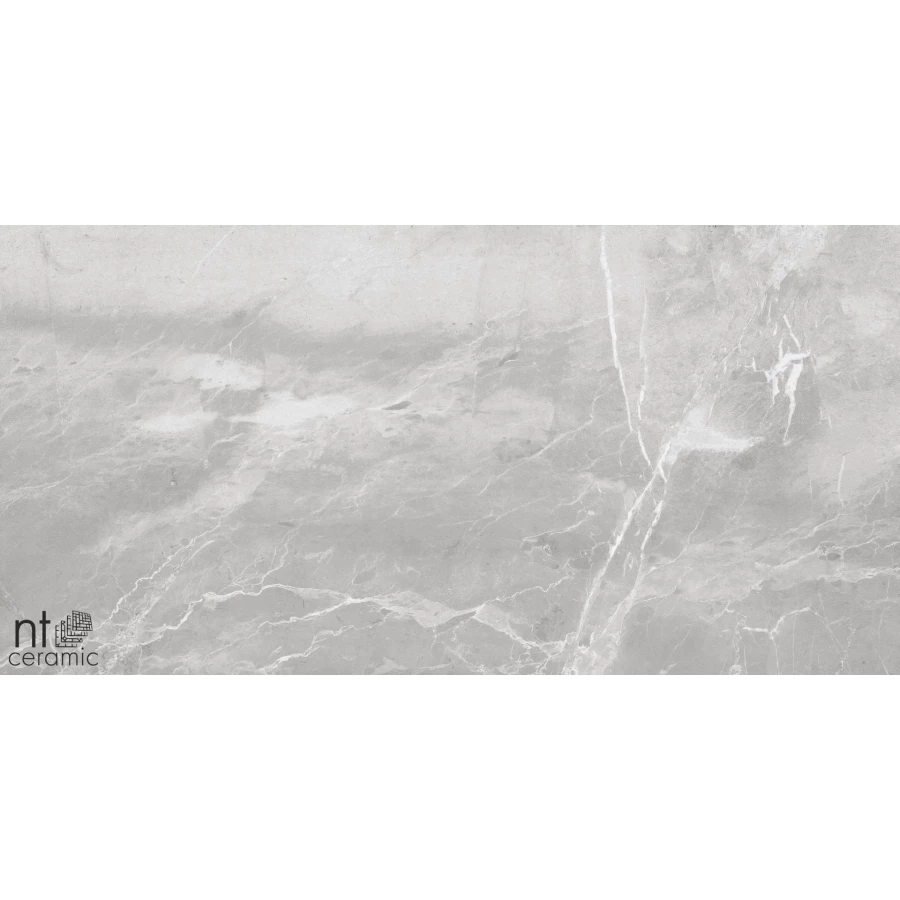 Керамогранит NT Ceramic Quanta Grey Slate Grey Лаппатированный NS612NTT9026L 120х60 см