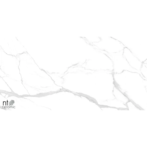 Керамогранит NT Ceramic Marmo Statuario Ultra White Полированный NTT99512M 120х60 см