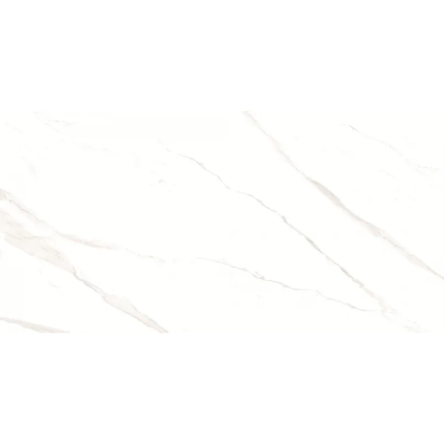 Керамогранит Duna Pushkar White Matt матовый белый RP-238582 120х60 см