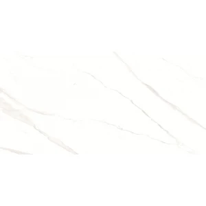 Керамогранит Duna Pushkar White Matt матовый белый RP-238582 120х60 см