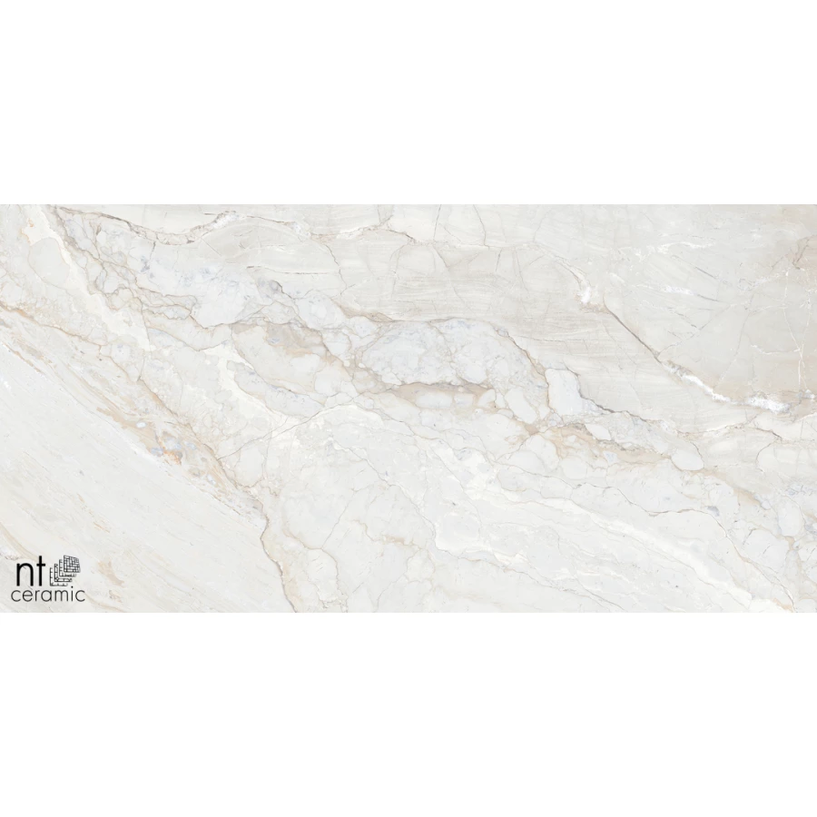 Керамогранит NT Ceramic Gravel White Полированный NTT99508P 120х60 см