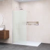 Душевая перегородка RGW WA-002 Матовое-Сатинат 35100211-21 110 см
