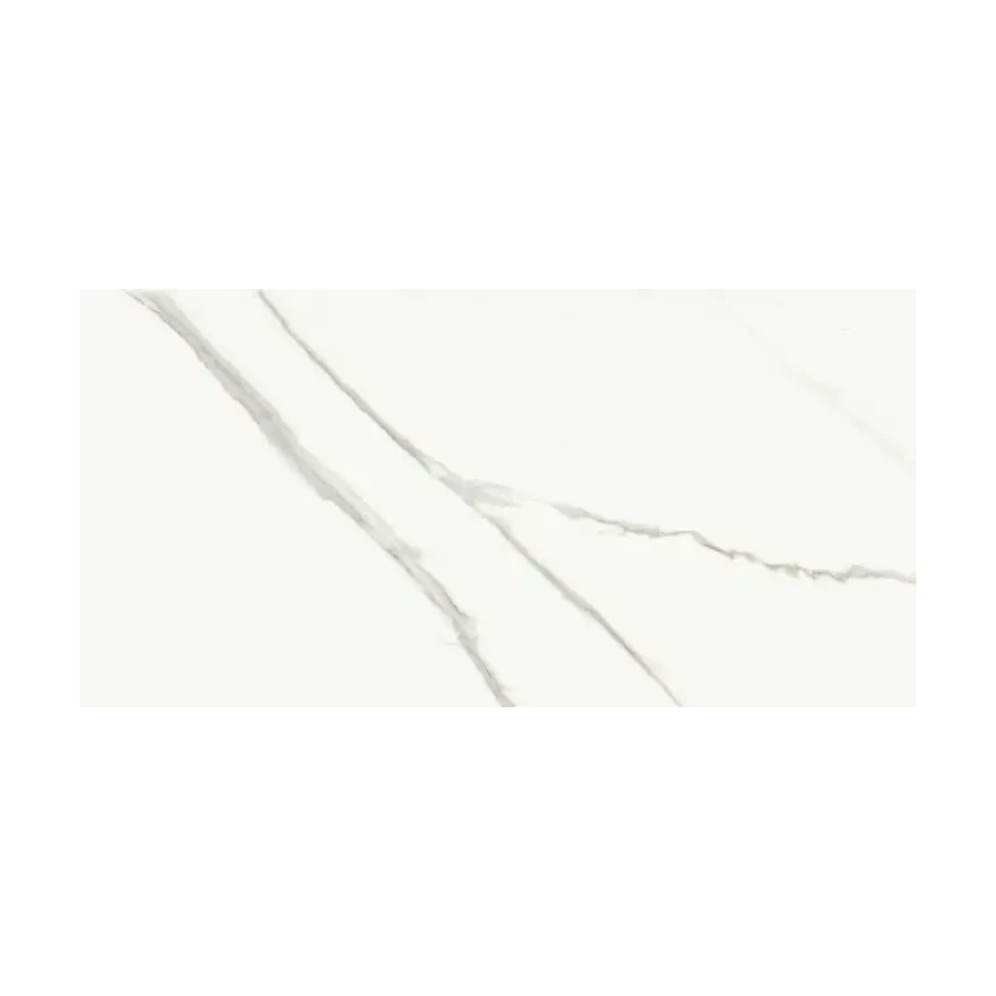 Керамогранит Lafaenza Aesthetica AE EXT6 12 LP глянцевый белый 120х60 см