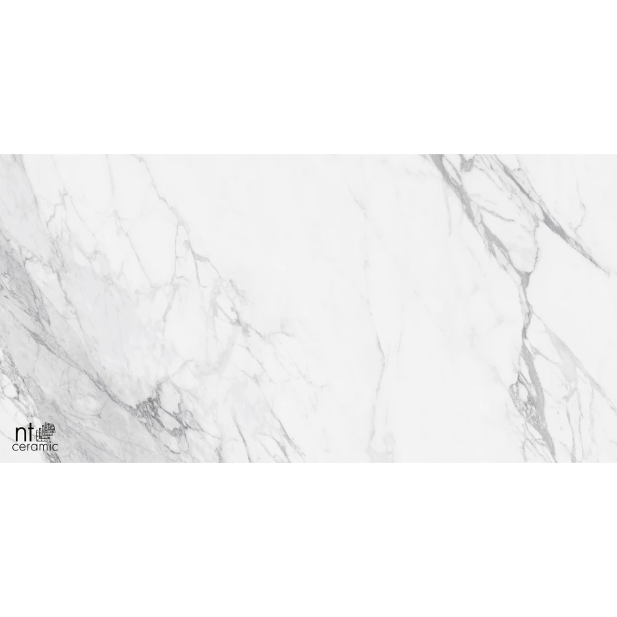 Керамогранит NT Ceramic Marmo Artic statuario Glossy Глянец NTT99528P 120х60 см