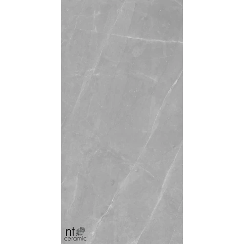 Керамогранит NT Ceramic Granite Limestone Grey Structura Матовый NTT99617M 120х60 см