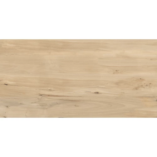 Керамогранит Buono Forest Sweet Home Matt матовый коричневый FVL4511M 120х60 см