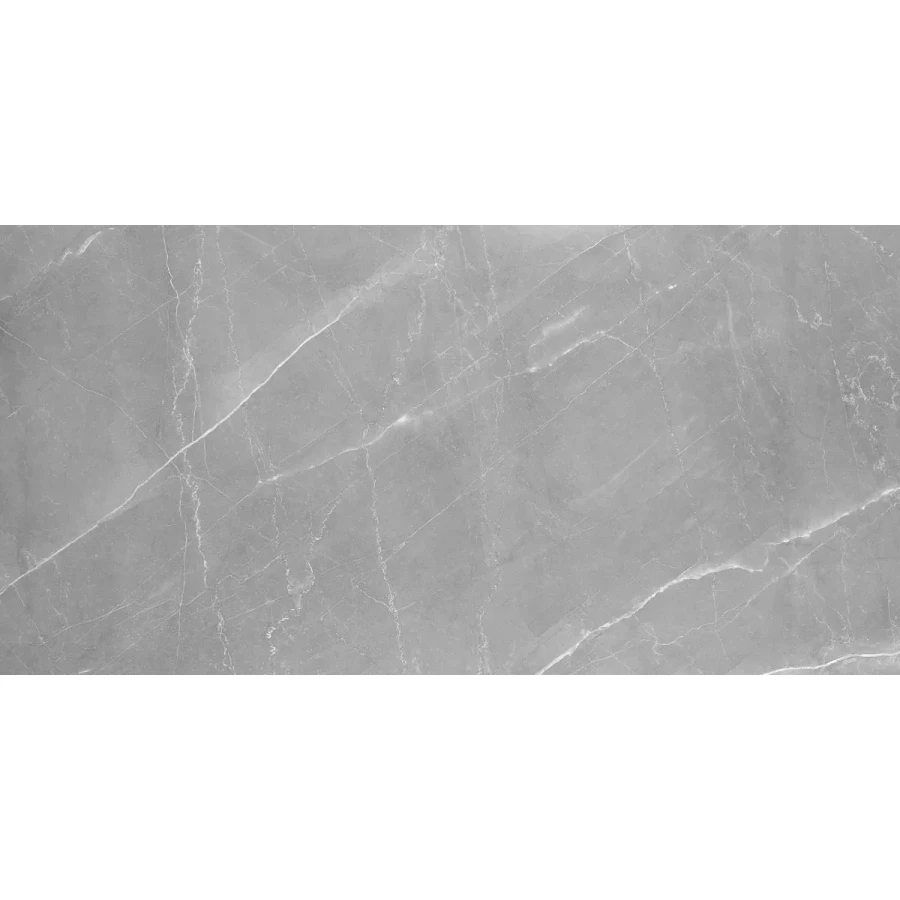 Керамогранит Absolut Gres Armani Gris Matt AB 1084M 120x60 см