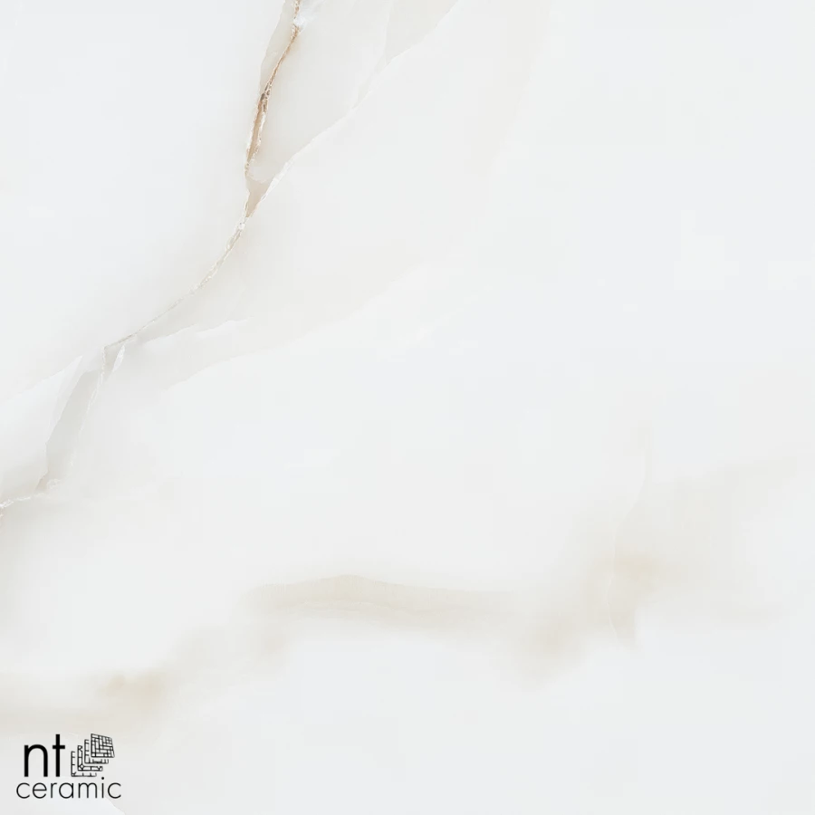 Керамогранит NT Ceramic Onyx Majestic Полированный NTT995030P 60х60 см