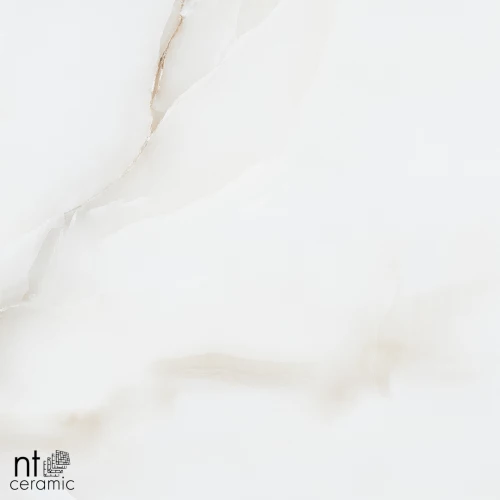 Керамогранит NT Ceramic Onyx Majestic Полированный NTT995030P 60х60 см