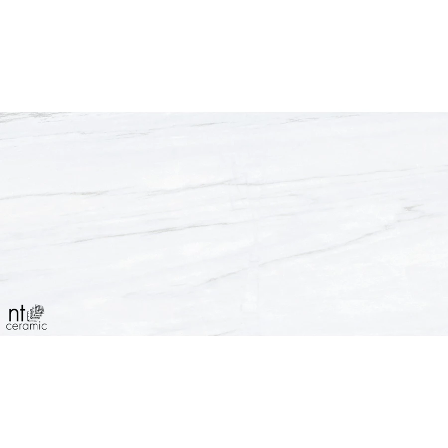 Керамогранит NT Ceramic Aurora NTT9801 Матовый AU612NTT9801M 120х60 см