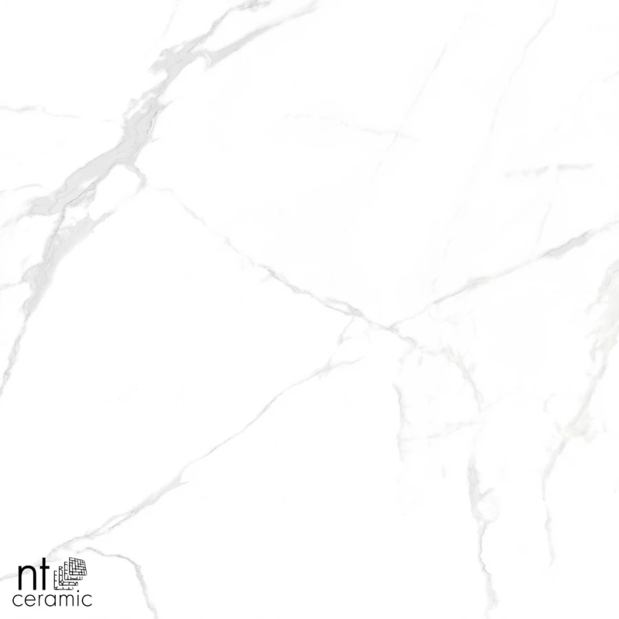 Керамогранит NT Ceramic Marmo Callacata carving Карвинг NTT996070M 60х60 см