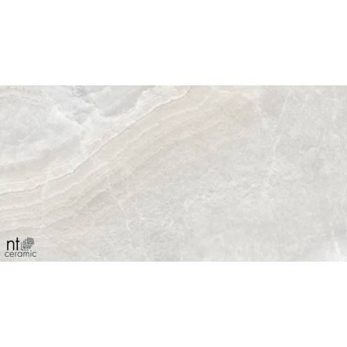 Керамогранит NT Ceramic Onyx Frazil Ice Полированный NTT99502P 120х60 см
