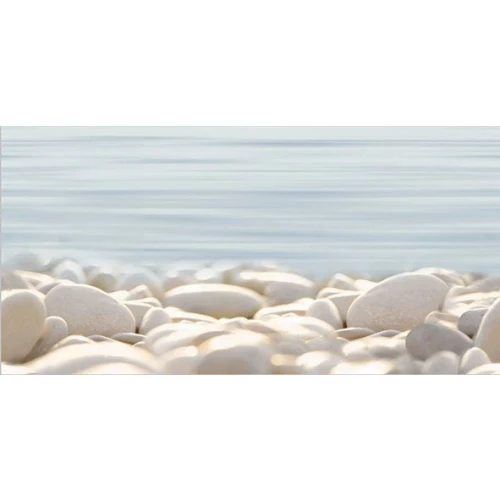 Декор Alma Ceramica Del Mare многоцветный 24,9*50 см