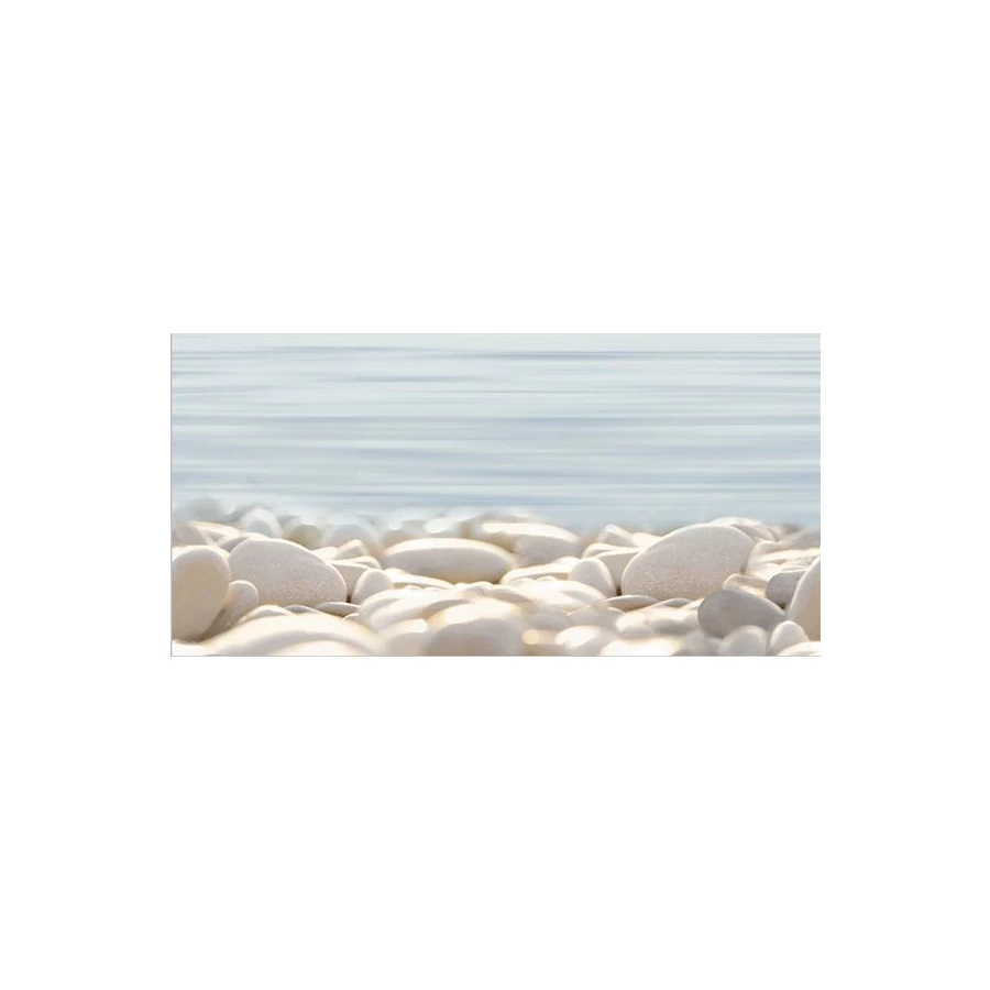 Декор Alma Ceramica Del Mare многоцветный 24,9*50 см