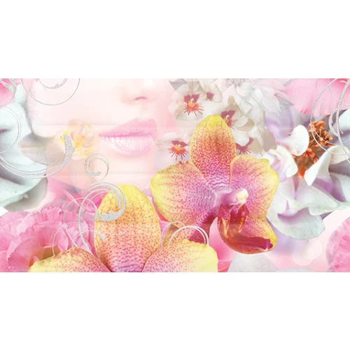 Панно Ceradim Dec Vision B КПН16VisionB 25х45