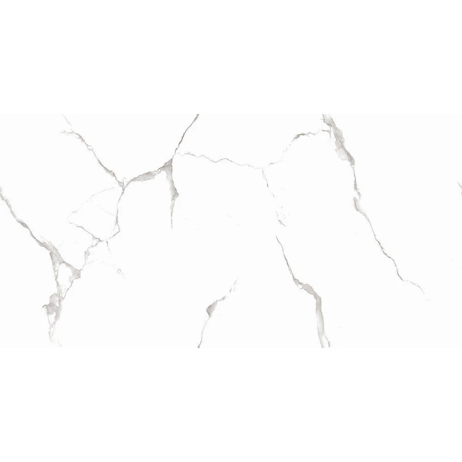 Керамогранит Casati Ceramica PGVT Silver White 120x60 см