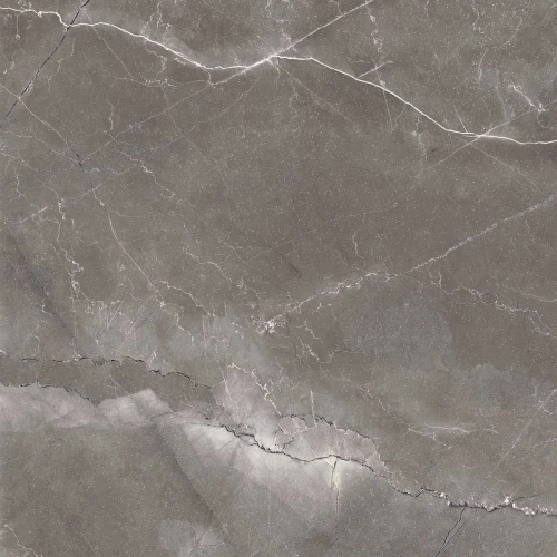 Керамогранит Arcadia Ceramica Pulpis Nero Full Polished серый FP1014-A 60х60 см