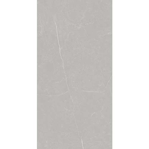 Керамогранит Primavera Фенгари / Fengari матовый серый TP612M002 120x60 см