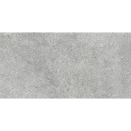 Керамогранит Ragno Marazzi Richmond Silver Rett RAFW 120х60 см