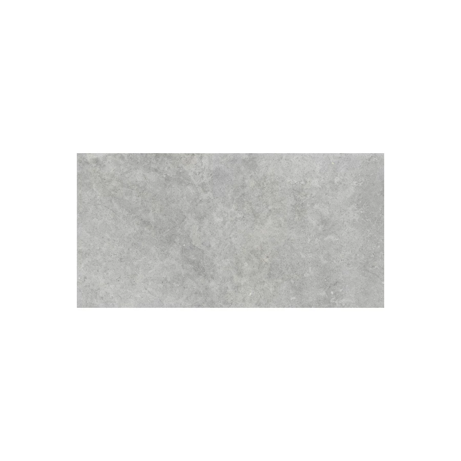 Керамогранит Ragno Marazzi Richmond Silver Rett RAFW 120х60 см