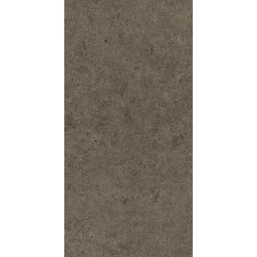 Керамогранит Atlas Concorde Буст Стоун Тобаccо / Boost Stone Tobacco матовый коричневый A6RA 120х60 см