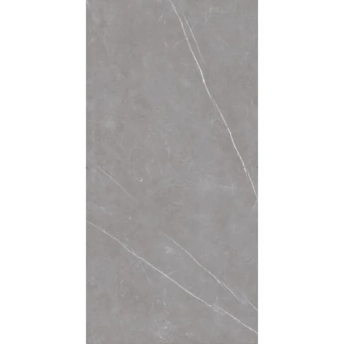 Керамогранит ProGRES Logan матовый серый PRO 0249M 120х60 см