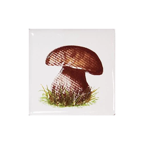 Плитка настенная Kerama Marazzi Сезоны Гриб матовая белая A1897/1236 9,9x9,9 см