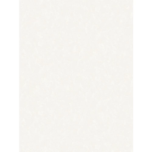 Обои бумажные Аспект Лира белые 10142-11 0,53х10,05 м