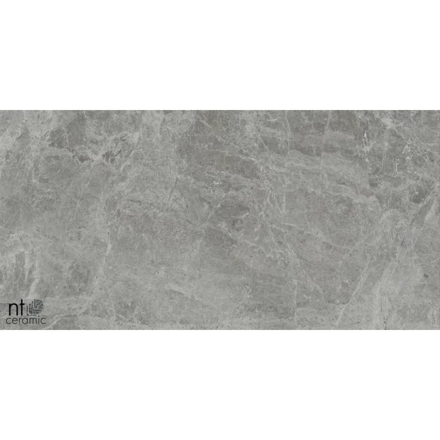 Керамогранит NT Ceramic Bright and Shiny Tundra Grey mat Матовый NTT9119M 120х60 см