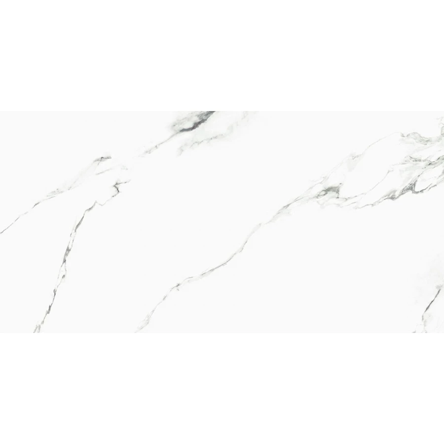 Плитка настенная La Platera Denarius Matt 120х60 см