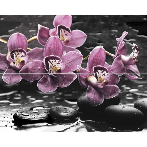 Панно Mosplitka Спа Орхидея многоцветный (компл. из 2-х шт.) 40х50 см