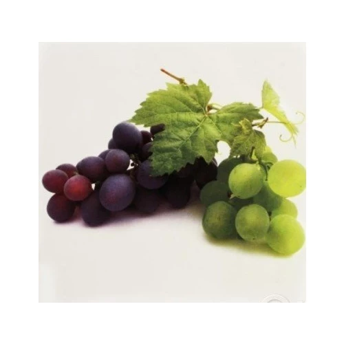 Декор Нефрит-Керамика Толедо Фрукты виноград 2 04-01-11-40-55-14-06 20х20 см