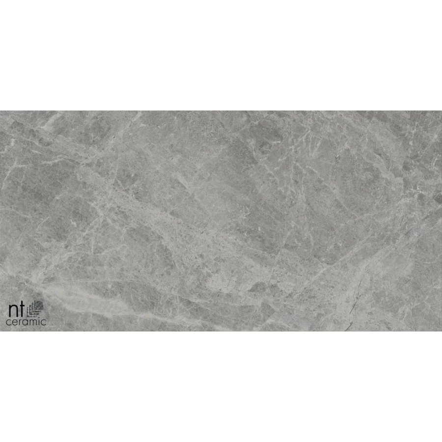 Керамогранит NT Ceramic Bright and Shiny Tundra Grey mat Матовый NTT9119M 120х60 см