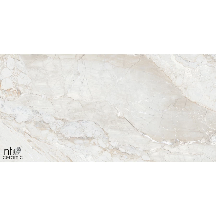 Керамогранит NT Ceramic Gravel White Полированный NTT99508P 120х60 см