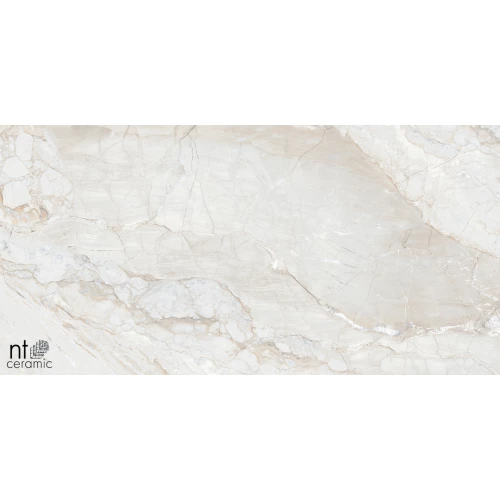 Керамогранит NT Ceramic Gravel White Полированный NTT99508P 120х60 см