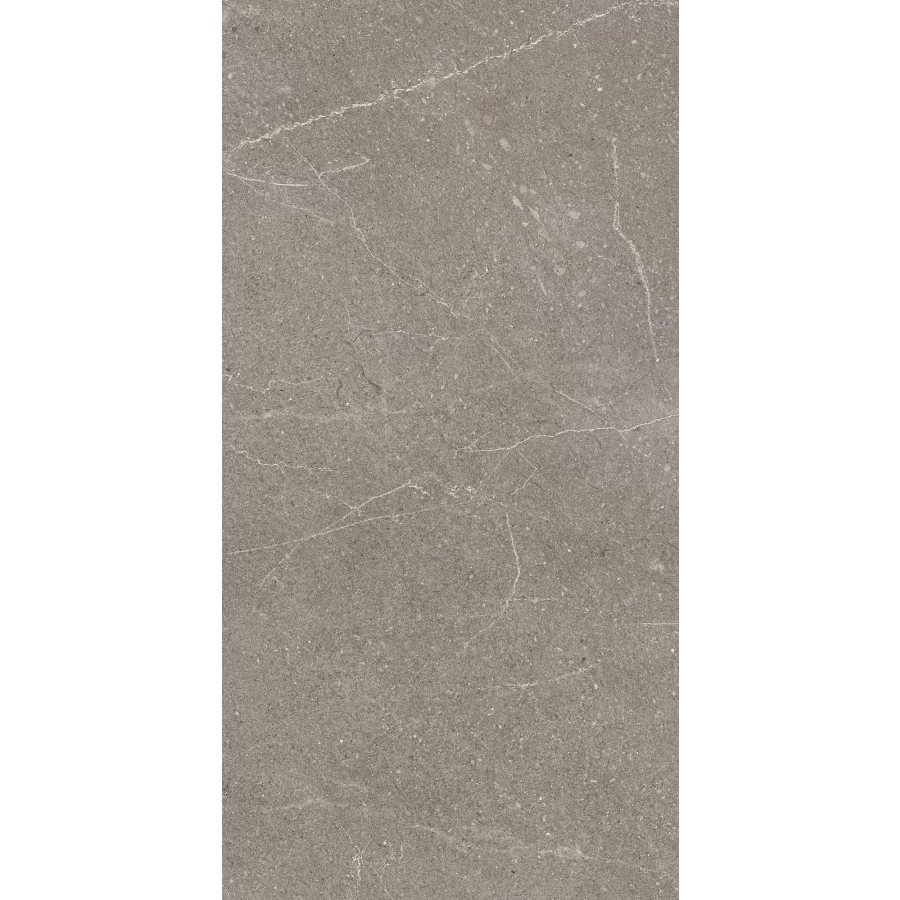 Керамогранит Arcadia Ceramica Equistone Graphite матовый серый RG6002-A 120х60 см