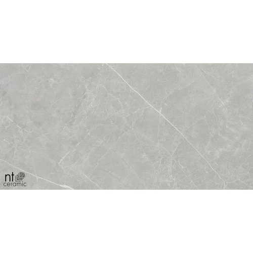Керамогранит NT Ceramic Pietra NTT1101 Лаппатированный PT612NTT1101L 120х60 см