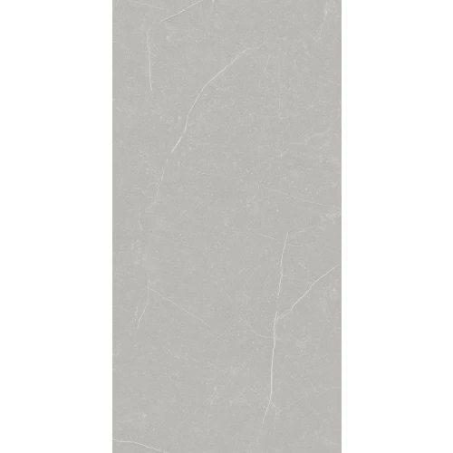 Керамогранит Primavera Фенгари / Fengari матовый серый TP612M002 120x60 см