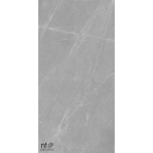 Керамогранит NT Ceramic Granite Limestone Grey Structura Матовый NTT99617M 120х60 см