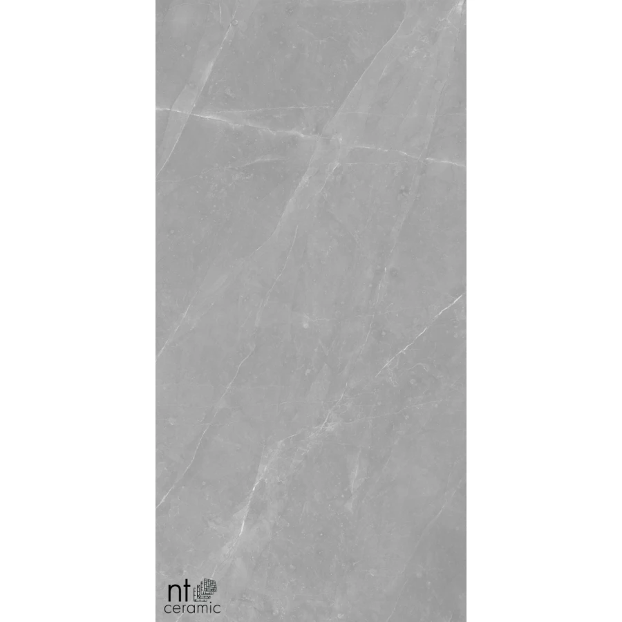 Керамогранит NT Ceramic Granite Limestone Grey Structura Матовый NTT99617M 120х60 см