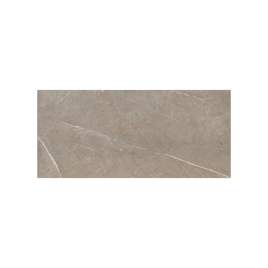 Керамическая плитка Atlas Concorde Marvel Silver Dream 4MPV 50X110 