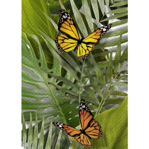 Декор Cersanit Tropicana TC2M021DT зеленый 25x35